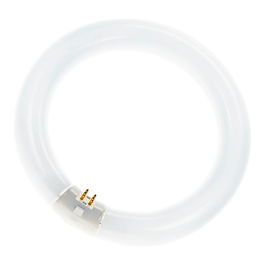 OSRAM Ringform L 40W/840 C G10Q Neutralweiss T9 - Bombilla fluorescente circular de 40 W blanco neutro