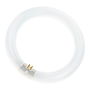 OSRAM Ringform L 40W/840 C G10Q Neutralweiss T9 - Bombilla fluorescente circular de 40 W blanco neutro