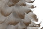 DKD Home Decor Árbol de Pluma y Cartón 22x22x46 Surtido de 2