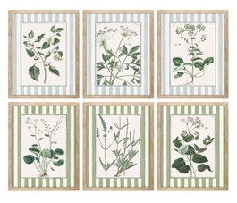 DKD Home Decor Cuadro Abeto Cristal Botánico Surtido de 6 unidades