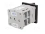 SPAMEL Interruptor de leva 40A 0-1 IP65