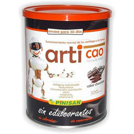 PINISAN Articao Sabor Chocolate 300g
