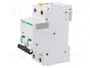 SCHNEIDER ELECTRIC Interruptor magnetotérmico iC60N 13A 2 polos Característica C