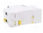 SCHNEIDER ELECTRIC Interruptor magnetotérmico iC60N 13A 2 polos Característica C