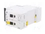 SCHNEIDER ELECTRIC Interruptor magnetotérmico iC60N 13A 2 polos Característica C