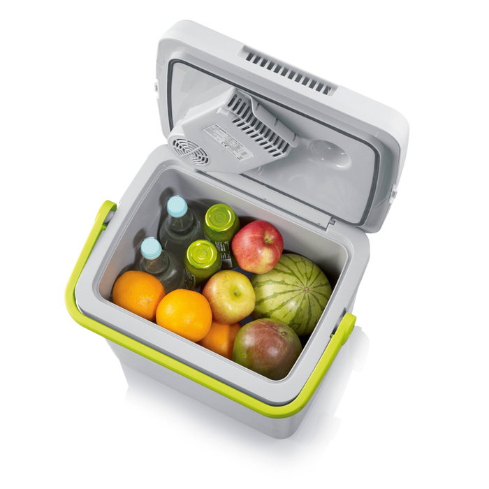 Severin TKB 2924 Nevera eléctrica Gris / Verde