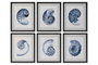 DKD Home Decor Cuadro Abeto Cristal 50x2x60 Caracola Surtido de 6