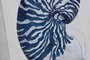 DKD Home Decor Cuadro Abeto Cristal 50x2x60 Caracola Surtido de 6