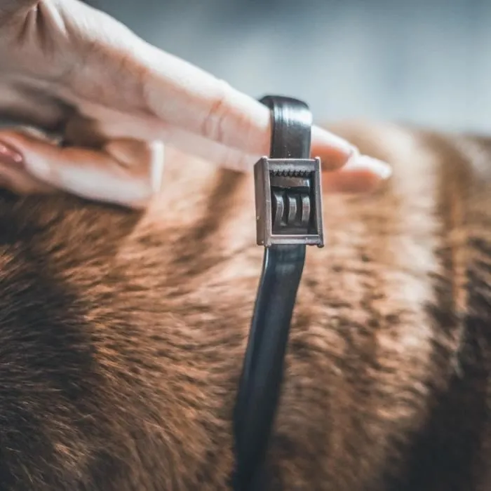 Vetocanis Collar Antipulgas y Garrapatas para Perros Pequeños hasta 10 kg - 4 Meses de Protección