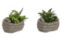 DKD Home Decor Planta de Resina y PE Diseño de Manos, Gris y Verde