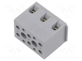 PHOENIX CONTACT Conector de carril G Serie 32A Gris