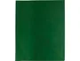 Liderpapel Papel de seda verde oscuro 52x76cm 18 gr/m2 paquete de 25 hojas