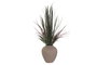 DKD Home Decor Planta PE Magnesia 70x70x125 Verde y Terracota