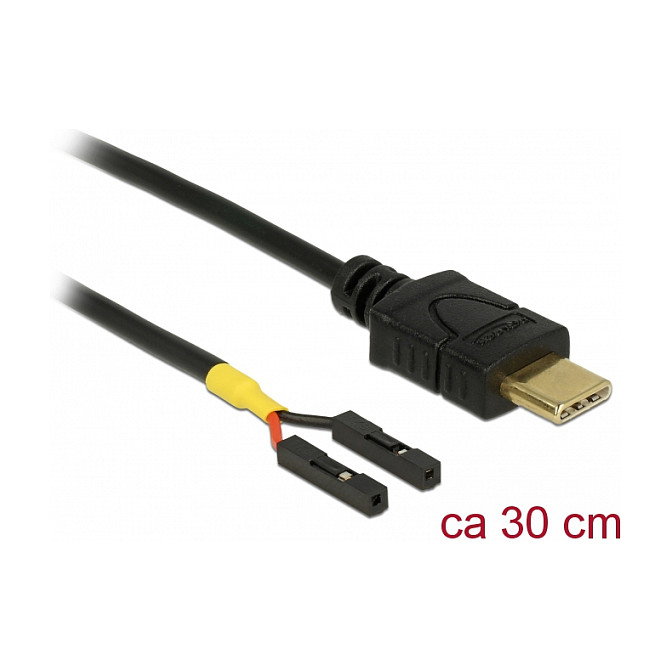 DeLOCK Cable USB Type-C a 2 x Terminales de Pines Hembra 0,3 m Negro DeLOCK Cable USB Type-C a 2 x Terminales de Pines Hembra 0,3 m Negro