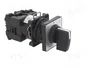 SCHNEIDER ELECTRIC Interruptor de Leva 20A 0-1 Negro