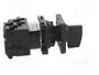 SCHNEIDER ELECTRIC Interruptor de Leva 20A 0-1 Negro