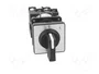 SCHNEIDER ELECTRIC Interruptor de Leva 20A 0-1 Negro