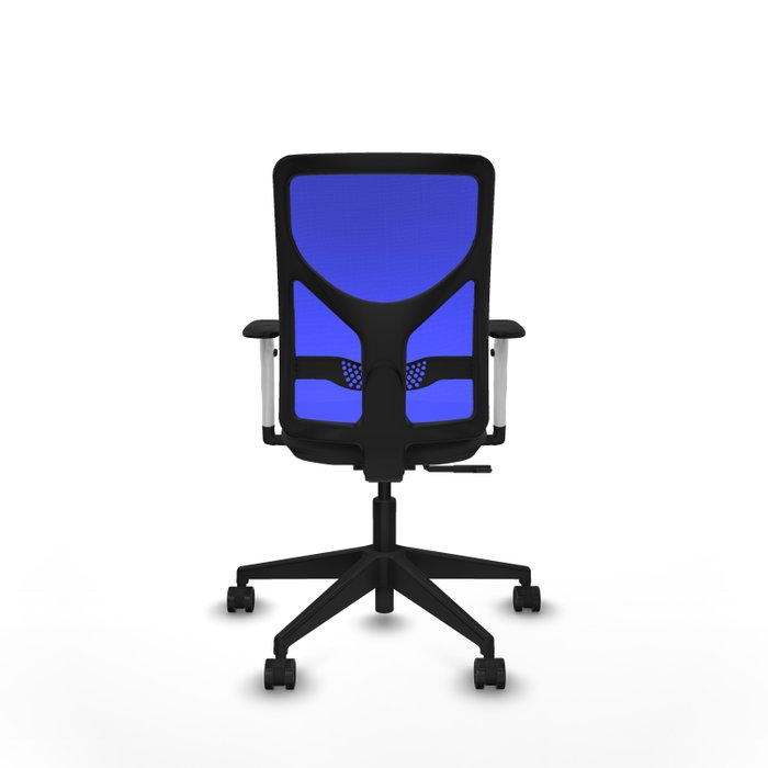 PIQUERAS Y CRESPO Silla de oficina Motilla con mecanismo Sincro, Gris oscuro y Azul PIQUERAS Y CRESPO Silla de oficina Motilla con mecanismo Sincro, Gris oscuro y Azul