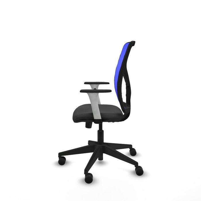 PIQUERAS Y CRESPO Silla de oficina Motilla con mecanismo Sincro, Gris oscuro y Azul PIQUERAS Y CRESPO Silla de oficina Motilla con mecanismo Sincro, Gris oscuro y Azul