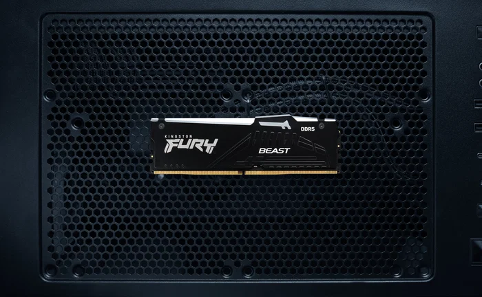 Kingston FURY Beast RGB 16GB DDR5 6000 MT/s CL30 DIMM KF560C30BBEA-16 Negro