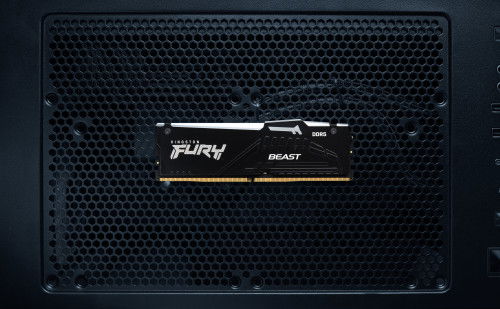 Kingston FURY Beast RGB 16GB DDR5 ECC 6000MT/s Memoria RAM - KF560C30BBEA-16