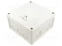 SPELSBERG ABOX-PRO-100-10 Caja de conexiones gris