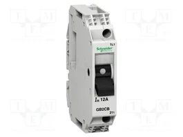 SCHNEIDER ELECTRIC Interruptor motorizado 2A 250VAC
