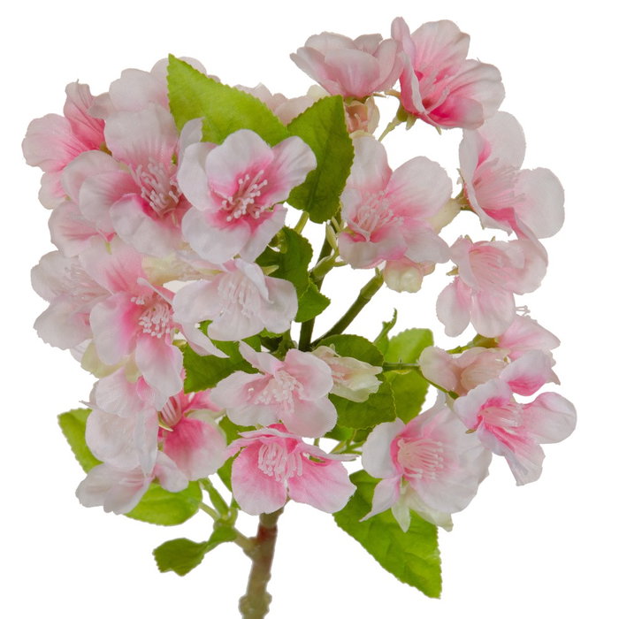 Ixia Rama de Flores Rosa PVC Jardín 40 cm