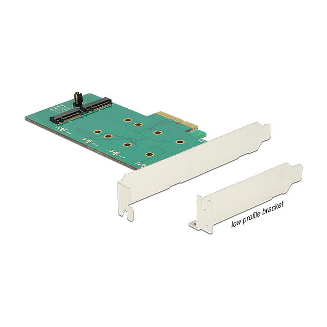 DeLOCK 89536 PCI Express x4 Card con 2x interno M.2 Key B, soporte RAID 0 y 1, 6 Gbit/s, factor de forma Low Profile