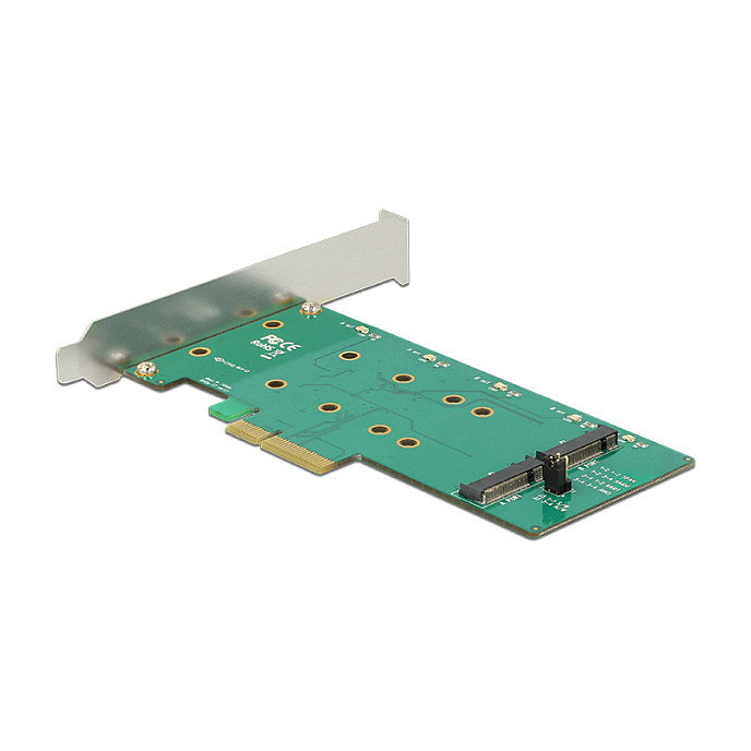 DeLOCK 89536 PCI Express x4 Card con 2x interno M.2 Key B, soporte RAID 0 y 1, 6 Gbit/s, factor de forma Low Profile