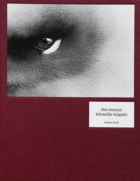 EXB ATELIER, DES OISEAUX. SEBASTIAO SALGADO - EXB ATELIER