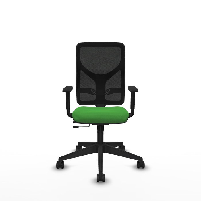 PIQUERAS Y CRESPO Silla de oficina Motilla con mecanismo Sincro/Traslack, Verde y Negro PIQUERAS Y CRESPO Silla de oficina Motilla con mecanismo Sincro/Traslack, Verde y Negro