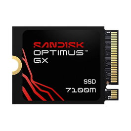 Sandisk Optimus GX 7100M 1 TB M.2 NVMe