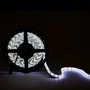 Tira LED SMD5054 100W 6.900Lm 6000K 12VDC IP65 5M 60LED/M CRI85 [CA-60-5054-12-IP65-CW] Iluminación Potente Exterior