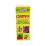 INTEGRALIA Constifin Jarabe 250 ml