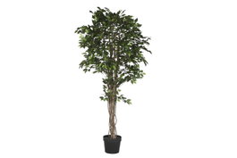 DKD Home Decor Árbol Ficus de Madera y PE Verde 100x100x216 cm