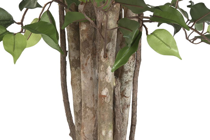 DKD Home Decor Árbol Ficus Verde Marron 100 x 210 x 100 cm (2 Unidades)