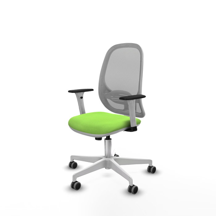 PIQUERAS Y CRESPO Silla de oficina Cilanco con mecanismo Sincro, Tela Pistacho y Malla Gris PIQUERAS Y CRESPO Silla de oficina Cilanco con mecanismo Sincro, Tela Pistacho y Malla Gris