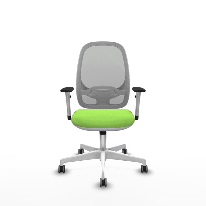 PIQUERAS Y CRESPO Silla de oficina Cilanco con mecanismo Sincro, Tela Pistacho y Malla Gris PIQUERAS Y CRESPO Silla de oficina Cilanco con mecanismo Sincro, Tela Pistacho y Malla Gris