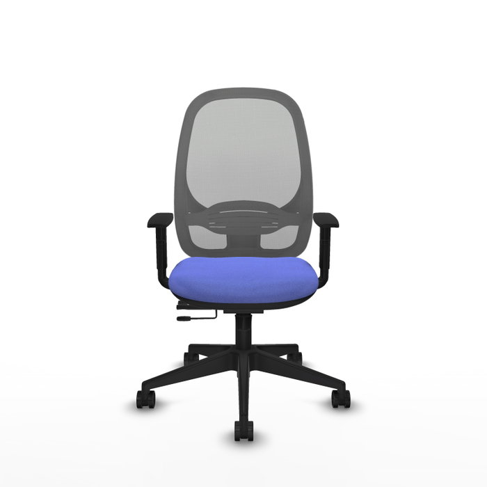 PIQUERAS Y CRESPO Silla de oficina Cilanco con mecanismo Sincro/Traslack, Azul claro y Gris PIQUERAS Y CRESPO Silla de oficina Cilanco con mecanismo Sincro/Traslack, Azul claro y Gris