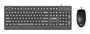 Philips SPT6247B Teclado y Mouse Negro
