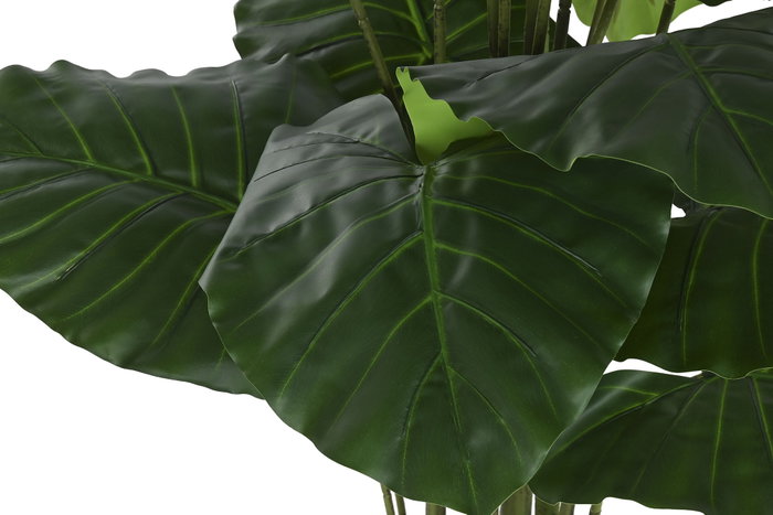 DKD Home Decor Planta Alocasia Odora Verde 90x90x170 DKD Home Decor Planta Alocasia Odora Verde 90x90x170