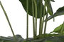 DKD Home Decor Planta Alocasia Odora Verde 90x90x170