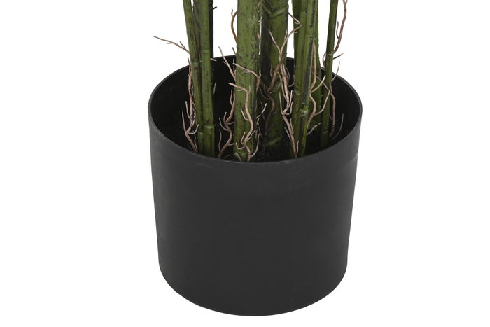 DKD Home Decor Planta Alocasia Odora Verde 90x90x170 DKD Home Decor Planta Alocasia Odora Verde 90x90x170