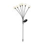 Lumineo 898736 Estaca Solar Luz Fija para Plantas y Jardín 70cm 6 Leds