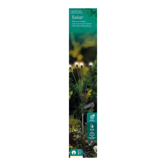 Lumineo 898736 Estaca Solar Luz Fija para Plantas y Jardín 70cm 6 Leds