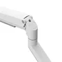 Neomounts DS70-250WH1 NEXT Slim Soporte para Monitor de Escritorio con Brazo de Gas, Inclinación 90°, Rotación 360°, Hasta 35" y 9 kg, VESA 100x100/75x75, Color Blanco