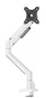 Neomounts DS70-250WH1 NEXT Slim Soporte para Monitor de Escritorio con Brazo de Gas, Inclinación 90°, Rotación 360°, Hasta 35" y 9 kg, VESA 100x100/75x75, Color Blanco