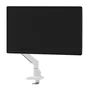 Neomounts DS70-250WH1 NEXT Slim Soporte para Monitor de Escritorio con Brazo de Gas, Inclinación 90°, Rotación 360°, Hasta 35" y 9 kg, VESA 100x100/75x75, Color Blanco