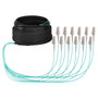 EFB Elektronik Cable de fibra óptica OM3 12G (1x12) LC-LC 10m O8342S10OM3